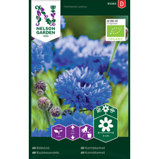 Nelson Garden Blåklint Hög Organic frö Blomsterfrø