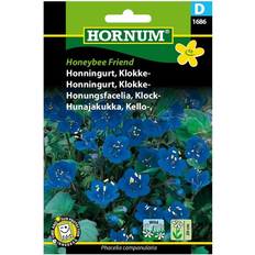 Honningurt Hornum Honningurt frø, Honeybee Friend Blomsterfrø