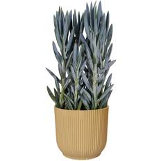 Elho Maceta Para Planta Vibes Fold Ø x Al 16 x 15 cm Plástico Amarillo ∅16cm