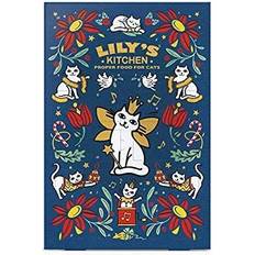 Lily's kitchen Kerst adventskalender voor katten