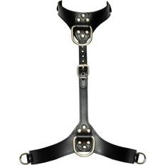 Bad kitty Bad Kitty Chest Harness S-L