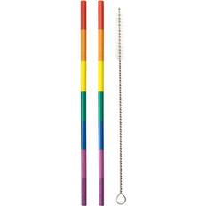 Metal cup Set of 2 Rainbow Metal Straws