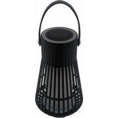 Flame Speaker