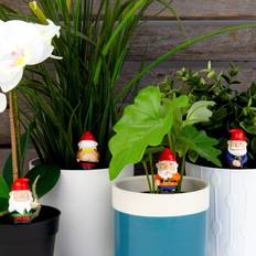 Naughty Gnomes - Mini Plant Pot