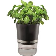 GEFU Botanico Herb Pot Krukke