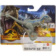 Jurassic blue Mattel Jurassic World: Dominion Ferocious Pack Velociraptor 'Blue' Dinosaur Figure