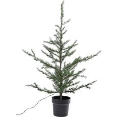 Sirius Milas Cedar Christmas Tree Ornament 100cm