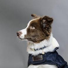 Hunde - Hundekleidung Haustiere Kentucky Dog Coat Original Navy