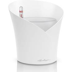 Lechuza Självvattnande Orkidékruka Orchidea vit 20cm ∅18cm