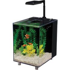 Penn plax curved corner glass aquarium kit hotsell