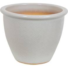 Pots, Plants & Cultivation Sunnydaze Decor 15 Villa High-Fired Glazed Ceramic Planter Pearl