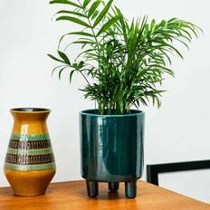 Pisa Emerald Planter