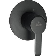 Standard Bathroom Concealed Shower