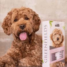 Labradoodle Greenfields plejesæt labradoodle hundeshampoo spray 2x250