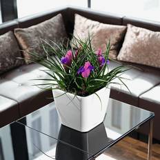Lechuza Krukor & Planteringskärl Lechuza Självvattnande Kruka Quadro 21cm