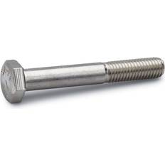 Byggmaterial Fast Skruv M6S 6x60 A4