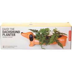 Kikkerland Daisy the Dachshund Sausage Dog Planter