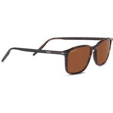 Serengeti Sunglasses Serengeti Lenwood 8933 Shiny Dark havana Polarised