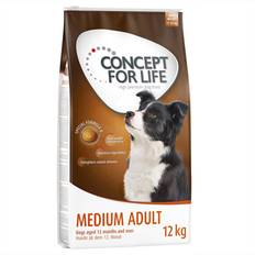 Concept for Life Medium Adult Hundefoder tør