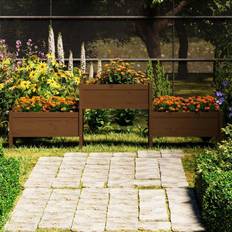 vidaXL Plantekasse 245,5x44x75 cm massivt fyrretræ gyldenbrun Krukke