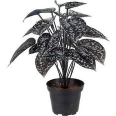 Mr Plant Silverranka Kunstig plante
