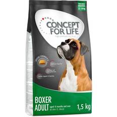 Concept for Life Boxer Adult - 6