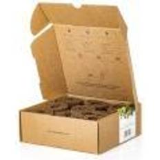 Click & grow smart garden 9 Click and Grow Smart Garden Refill 9-pack Italienska Krukke