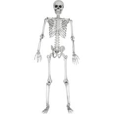 Realistic Skeleton