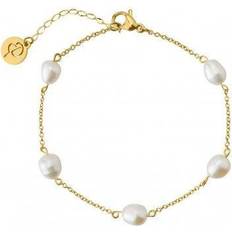 Rostfritt stål Armband Edblad Perla Bracelet Multi - Gold/Pearls