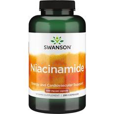 Swanson Niacinamide 500mg