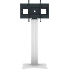 Celexon Professional Plus display stand