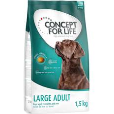 Concept for Life Hond Huisdieren Concept for Life Large Adult Hondenvoer 1.5 kg