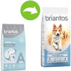 briantos Adult Light - Ekonomipack: 2 14