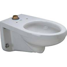 Rimless Water Toilets Zurn HET Elongated Wall Hung EcoVantageÂ Flush Valve Toilet Bowl (Z5615-BWL)