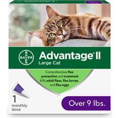 Advantage cat flea treatment Advantage Large Cat Vet-Recommended Flea Treatment & Prevention