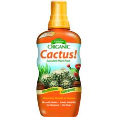 Pots, Plants & Cultivation Espoma Espoma Organic Cactus Succulent Plant Food