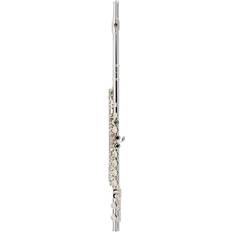 Allora AFL-250 Student Series Flute Offset G C-Foot