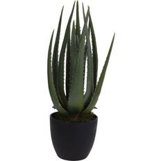 Artificial Plant Aloe Vera 25x45 Multicolour