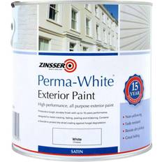 Zinsser White Paint Zinsser Satin Mould Paint White