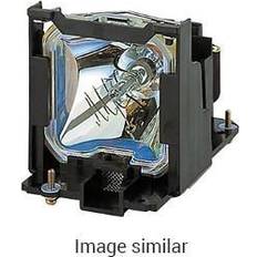 Projector Lamps Sanyo LMP141 Original replacement lamp for PLC-WL2500, PLC-WL2503