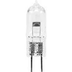 G6.35 Omnilux Ampoule halogène pour effet lumineux 88290030 24 V G6.35 300 W blanc