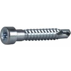 Essve Indu-Prog Borrskruv 7 mm, TX30, FZB 100-pack 100st