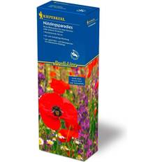 Kiepenkerl Blomsterblanding - Insektblanding 50