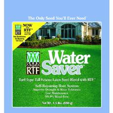 Fescue grass seed Barenbrug Water Saver 1.5 lbs. Tall Fescue with RTF Grass Seed Blend