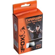 Ping Pong Fox Darwin 1 Star 6-pack