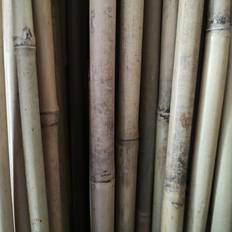 Bambuspinde 5 stk. Bambuspinde 60 Plantekasse