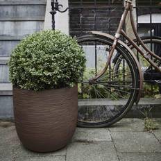 Capi Capi Egg Planter "Nature Rib"