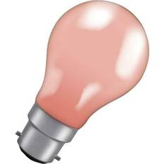 Globe Ampoules à incandescence Crompton Lamps 15W GLS B22 Dimmable Colourglazed IP65 Pink