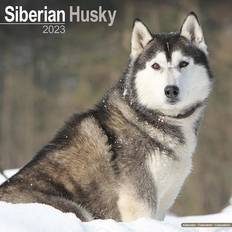 Avonside Siberian Husky Calendar 2023