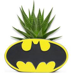 Half Moon Bay Batman 3D Planter Krukke